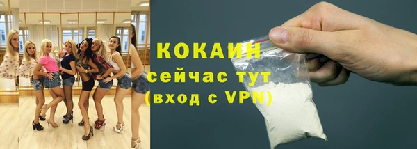 гашик Магас