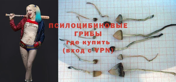 гашик Магас